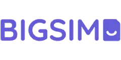 BIGSIM
